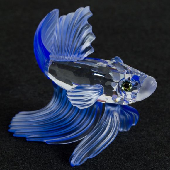 Meet your Posher, Glassfishie - Picture 1 of 1
